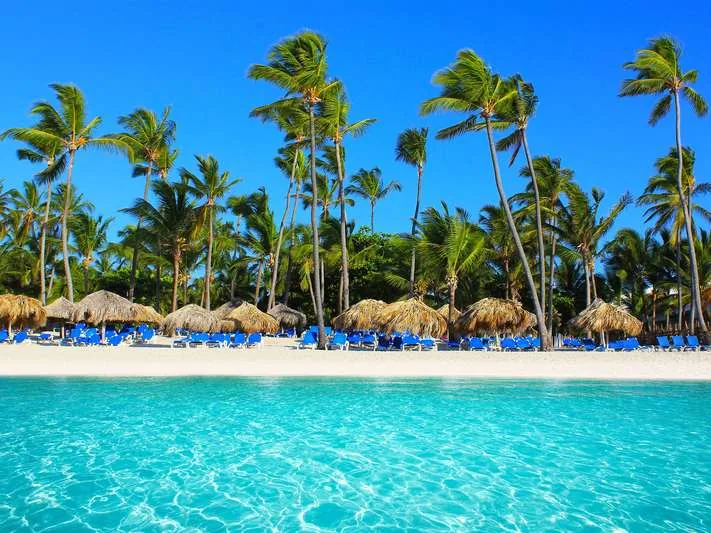 Playa del Caribe con palmeras